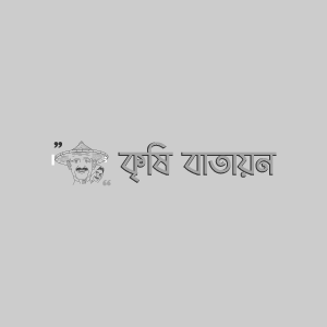 গর্জন তিলের পাতার দাগরোগ