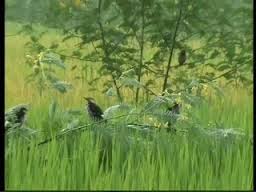 অভিজ্ঞতা